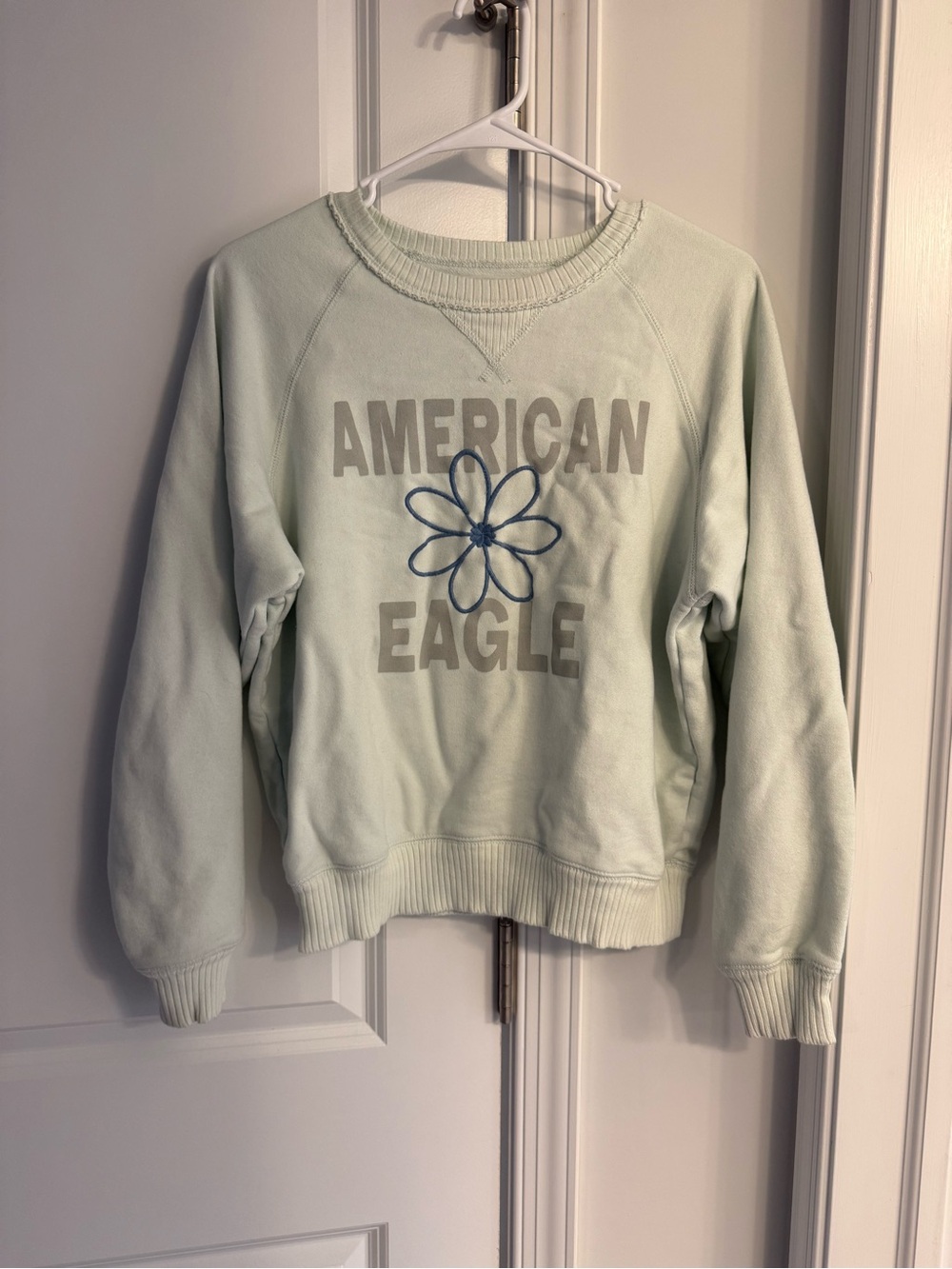 American Eagle Outfitters Mint Green Crewneck with Blue Floral Logo